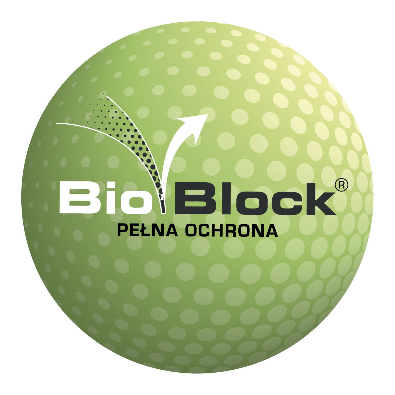 BioBlock Silikon MAPEI MAPESIL AC 310ml